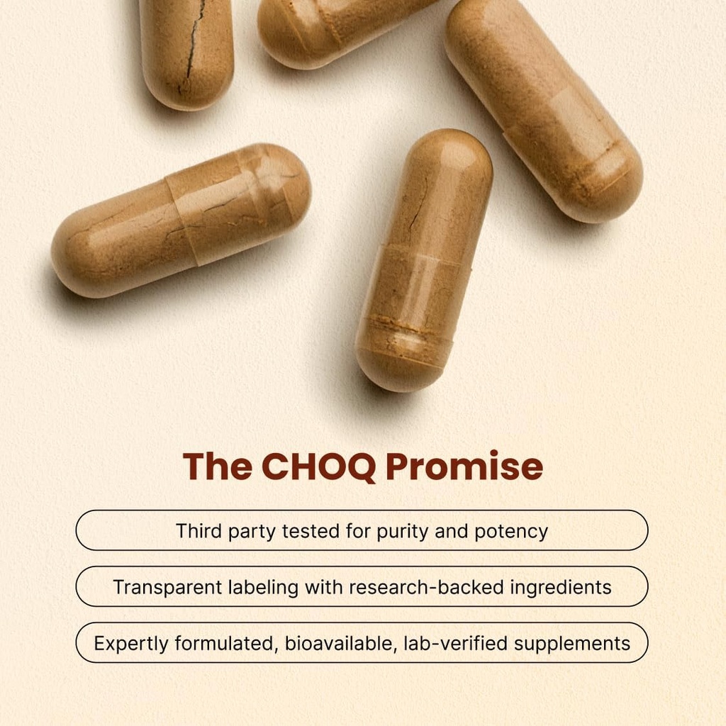 choq-action-20-energy-circulation-suppor-3.jpg