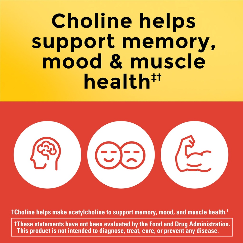 nature-made-extra-strength-dosage-cholin-81D-LrFd1XL.jpg