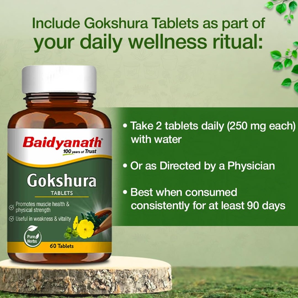 baidyanath-ayurved-gokshura-60-tablets-s-61Cs9JGzebL.jpg