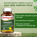 baidyanath-ayurved-gokshura-60-tablets-s-61Cs9JGzebL.jpg