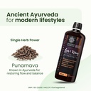 liver-kidney-revitalizer-detox-support-i-71c6aKvWaGL.jpg