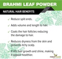 the-forest-herbs-natural-care-from-natur-81NQ+EDYnEL.jpg