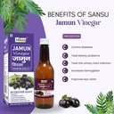 sansu-jamun-vingar-ayurvedic-natural-sir-81Q514E2SEL.jpg