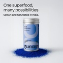 gunam-blue-spirulina-powder-60-servings--81zHUIz66UL.jpg
