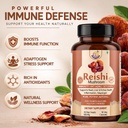 khumbeess-superfoods-reishi-mushroom-ext-71yh2tR9foL.jpg