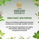 vlado-s-himalayan-organics-spirulina-200-71TJI5IEB9L.jpg