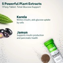 oziva-sugar-support-effervescent-blood-s-61-I-q2U8xL.jpg