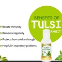 kudos-ayurveda-tulsi-amrit-best-tulsi-dr-51AOJ-BmHYL.jpg