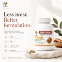 dalchini-capsules-organic-ceylon-cinnamo-61VKdtcdm+L.jpg