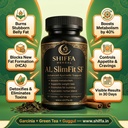 al-slimfit-sf-ayurvedic-fat-burner-60-ca-81lG4VtnYNL.jpg
