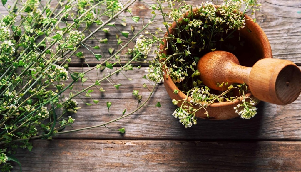 health-embassy-shepherds-purse-herb-caps-4.jpg