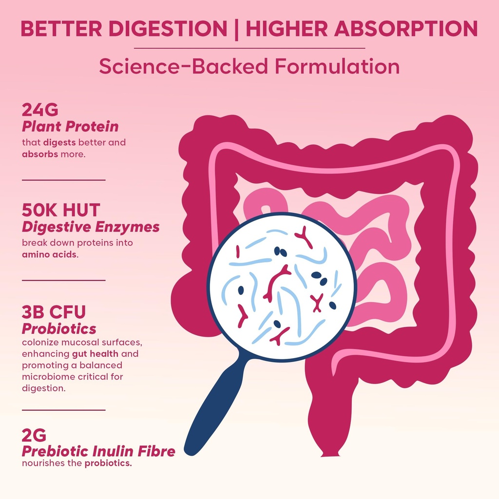 foodstrong-gut-friendly-plant-protein-co-71XNOK+Q33L.jpg