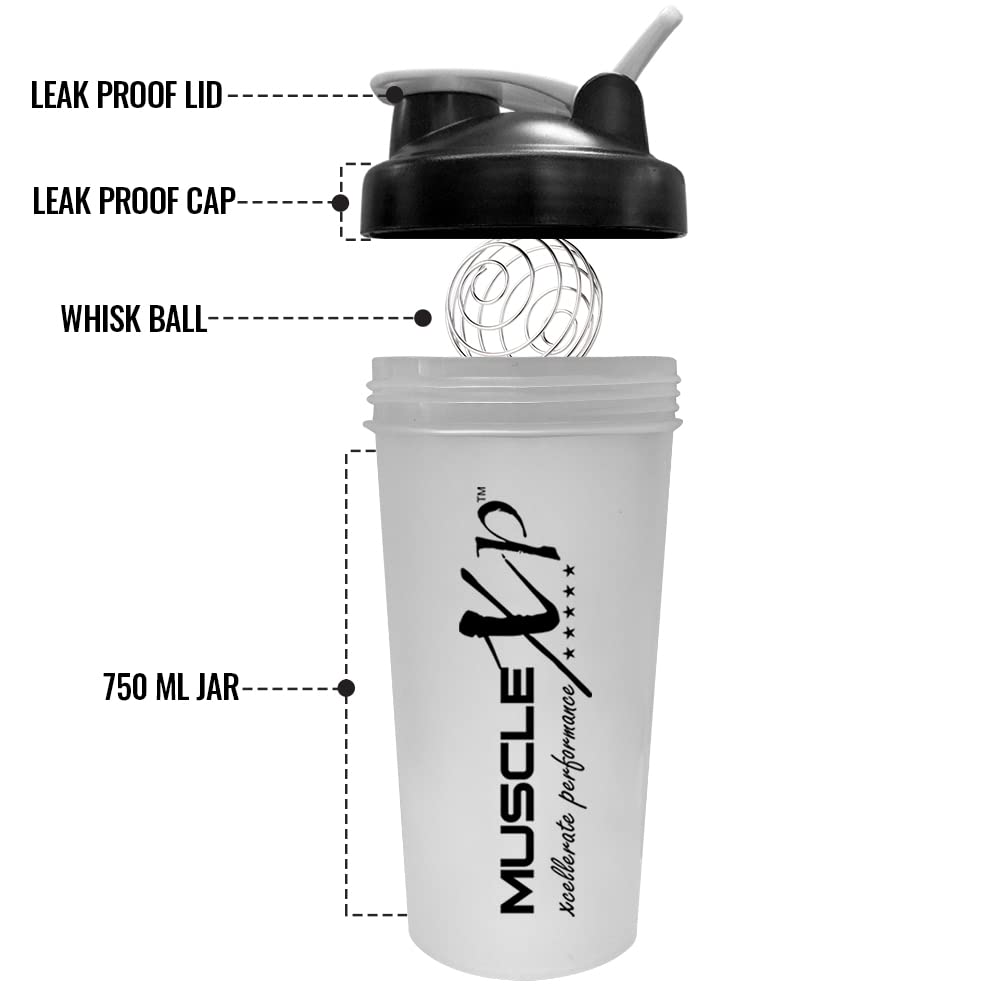 musclexp-gym-shaker-perfect-for-gym-bpa--51kzc5qg7PL.jpg