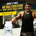 realgainz-by-2x-nutrition-high-protein-m-81oX5LjhvKL.jpg
