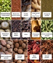 it-s-moong-plant-protein-powder-for-men--81PhJKOq0OL.jpg