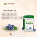 pure-nutrition-plant-protein-powder-vega-61JSxcyIjsL.jpg