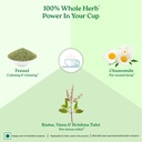 pcod-and-pcos-relief-tea-for-regular-per-61G7IzoMPyL.jpg