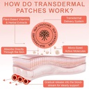 glp-1-patches-for-appetite-cravings-and--61F4PO4S-EL.jpg