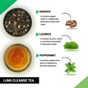 teacurry-lung-detox-and-liver-detox-tea--810eOvlBKqL.jpg