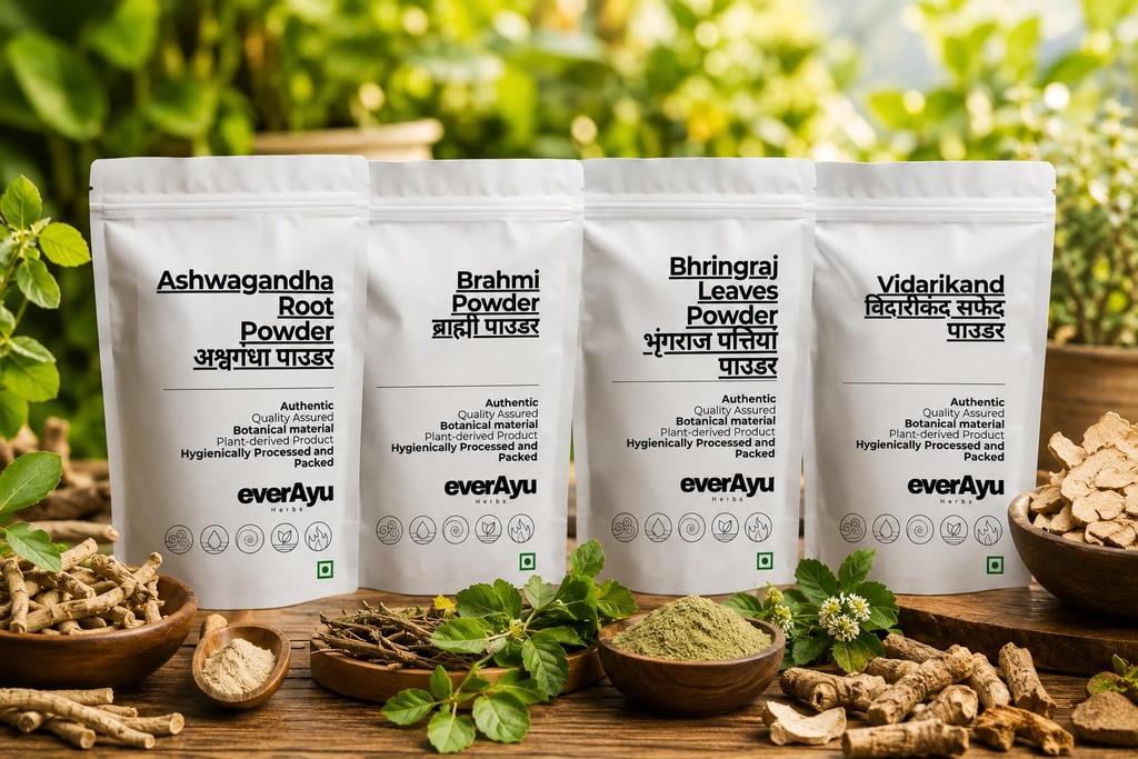 sharpunkha-churna-100gm-tephrosia-purpur-71-GLbZC0IL.jpg