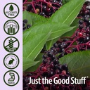 natures-answer-sambucus-spray-supports-a-5.jpg