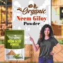 organic-neem-giloy-powder-100-gm-100-pur-81EckaQhioL.jpg