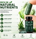 spirulina-bliss-certified-100-organic-pu-71XL6dguVOL.jpg