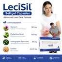 lecisil-capsules-comprehensive-liver-sup-71HDpHDogRL.jpg