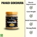 soam-ayurveda-s-pahadi-gokshura-150g-gok-61StDtkxApL.jpg