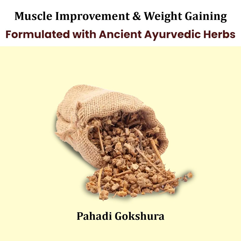 soam-ayurveda-s-pahadi-gokshura-150g-gok-61ivJ1eNITL.jpg