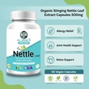 organic-stinging-nettle-leaf-extract-cap-613a3cnJn7L.jpg