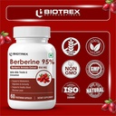 biotrex-nutraceuticals-berberine-hcl-850-81jqO8XAjpL.jpg
