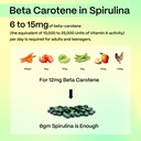 blubein-spirulina-tablets-2000-mg-per-se-71Ko9xge0nL.jpg