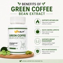green-coffee-bean-extract-capsules-with--71lYXo5LyvL.jpg