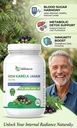 jamun-neem-karela-churna-maintaining-blo-71b8xZj2O5L.jpg