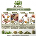 100-natural-brahmi-leaves-100g-natural-s-81e2B+nv9PL.jpg