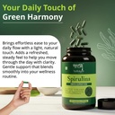 spirulina-capsules-500-mg-120-veg-capsul-617SOXeOa4L.jpg