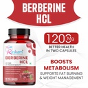 healthcare-berberine-hcl-1200mg-with-cey-81EhnsmN10L.jpg