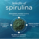 dayrix-spirulina-powder-100-pure-plant-p-81YgjcqX6lL.jpg