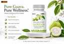 leewell-guava-fruit-extract-and-guava-le-71we5lyH5nL.jpg