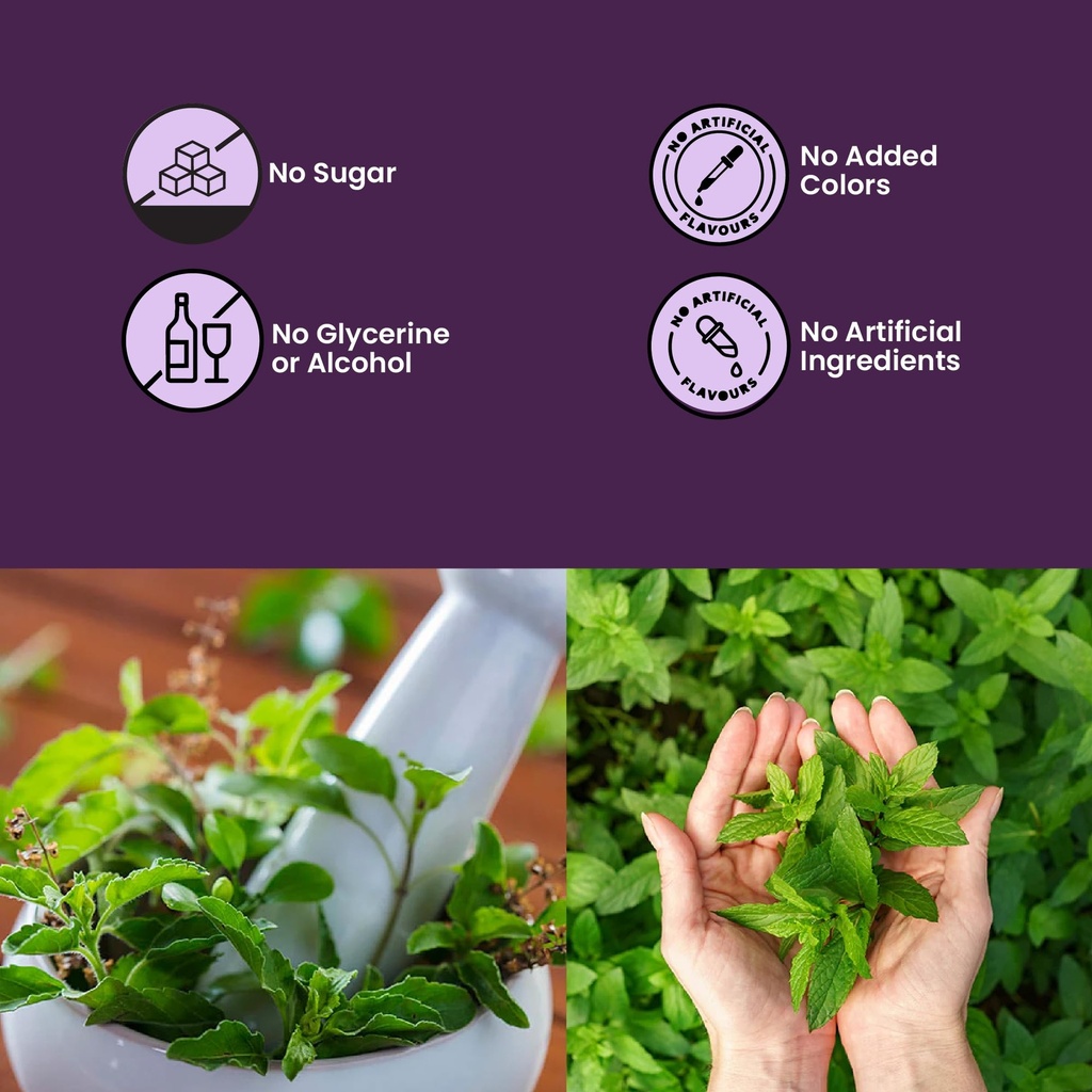 tulsi-pro-100-pure-5-tulsi-extract-natur-812iWBOj3uL.jpg