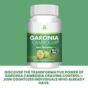 healthy-nutrition-just-for-the-health-of-71+dYAjAviL.jpg