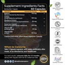 health-veda-organics-plant-based-brain-b-81tcBt8luTL.jpg