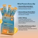 setu-boost-hydration-energy-electrolyte--81PuS6aWESL.jpg