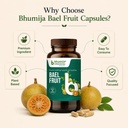 bhumija-lifesciences-bael-fruit-capsules-61THjHgGoNL.jpg