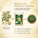 biotic-natural-belgiri-powder-aegle-marm-71rCiAXoFeL.jpg