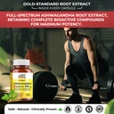 the-body-reserve-ashwagandha-ksm66-30-ca-71eceCCAVrL.jpg