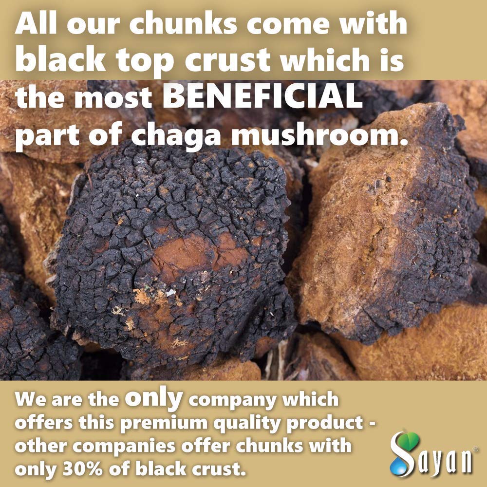 chaga-mushroom-chunks-8-oz-raw-dried-wil-71SeqT6q-xL.jpg