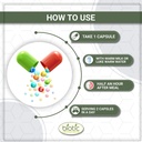 biotic-natural-green-coffee-bean-capsule-61VFrGO4HTL.jpg