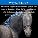 su-per-e-se-horses-antioxidant-supplemen-61SnIXk95wL.jpg